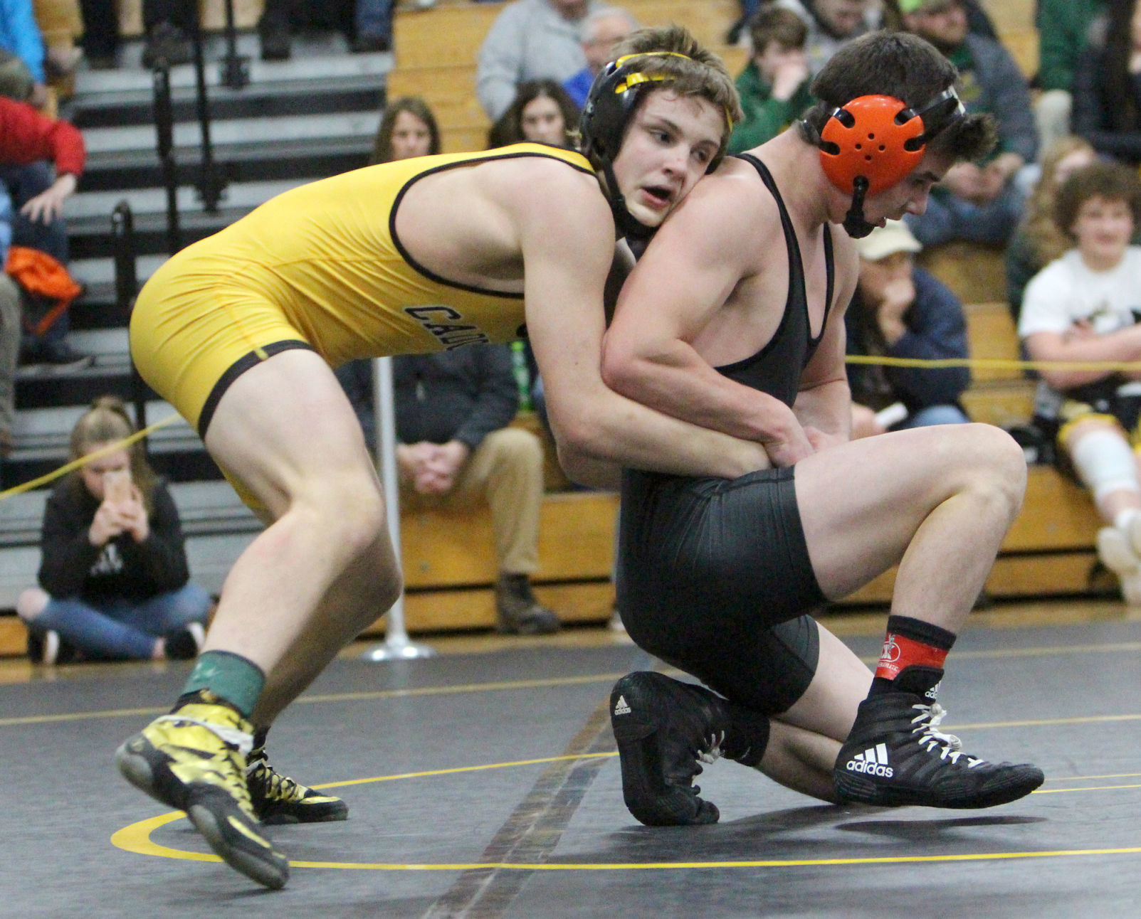 Division 3 Wrestling Regional at Cadott 2-15-20
